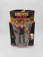 Jakk's Pacific WWE Legends of the Ring TNA Kevin Nash Figure